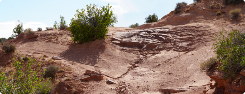 Moab trail bundle