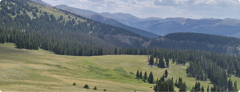 Denver trail bundle