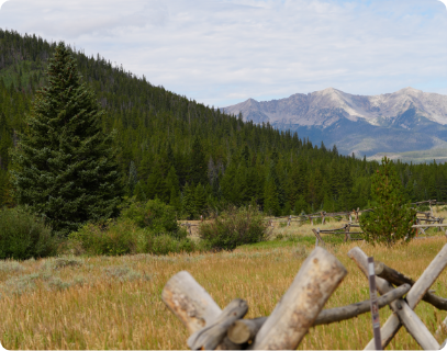 Georgia Pass, Denver